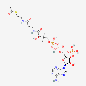 acetyl CoA structure