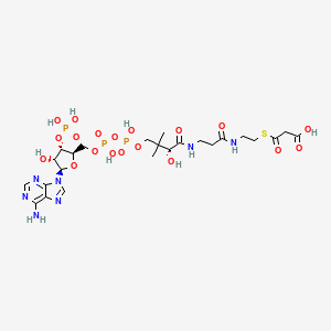 Malonyl CoA structure